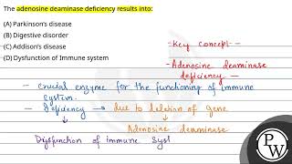 The adenosine deaminase deficiency results into [upl. by Philps]