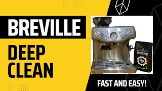 How to Deep Clean and Descale a Breville Espresso Machine Step by Step [upl. by Yhtir]