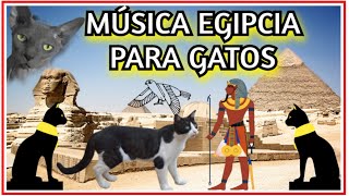 Música Gatos Egipcios Música Egipcia antigua para gatos [upl. by Tito]