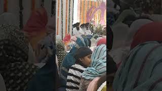 charan kamal tere dhoye dhoye piva mere satguru din dayala🙏🙏gurdwarasahibwahegurusimranviralvideo [upl. by Gabrielson]