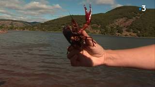 Hérault  le lac de Salagou site devenu incontournable fête ses 50 ans [upl. by Damiani990]