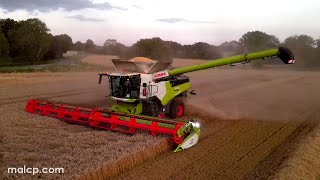 4Kᵁᴴᴰ Harvest 2023 Claas Lexion 8900 TT with Convio 1230 Flex header on demo from Manns UK  part 2 [upl. by Odnanref994]