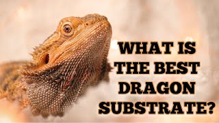 WHAT IS THE BEST BEARDED DRAGON SUBSTRATE [upl. by Auhsot]