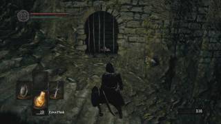 Dark souls прохождение часть 2 [upl. by Gaivn]