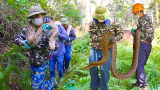 Terrible  Scared The anaconda species appeared right in the abandoned houseforcing us to catch it [upl. by Croom618]