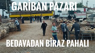 TORBALI HAYVAN PAZARINDA GÜNCEL BİLGİLER [upl. by Anahsal]