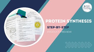 Process of Protein Synthesis [upl. by Ajroj42]