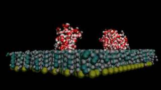 Water molecules on the hydrophobic surface [upl. by Anayi]