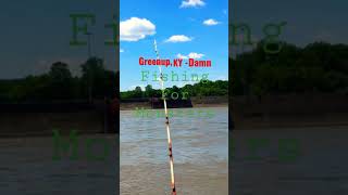 Greenup Kentucky Damn  Fishing [upl. by Selij782]