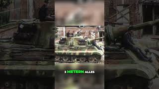 Die beeindruckende Kraft des Jagdtigers  unschlagbar gegen Sherman Panzer [upl. by Colbert]