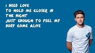 Mirrors  Niall Horan Lyrics [upl. by Cirted756]