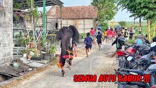 BARONGAN NGAMUK NGEJAR ORANG  Arak Arakan Barongan Blora Reog MARSUDI BUDOYO [upl. by Nahtanhoj]