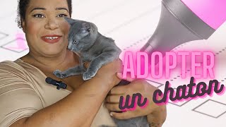 Comment adopter un chaton [upl. by Afrika]