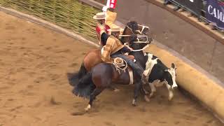 RODEO EN VIVO 36 SERIE CRIADEROS 2018 [upl. by Aicissej]