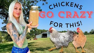 How to Ferment Chicken Feed in 2 Minutes [upl. by Malda347]