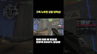 팀에 이런 애 있으면 전투력 500 상승함 ㅇㅈ [upl. by Atsyrk238]