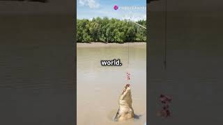 Top 5 Scariest Animals in the Wild weirdnature scary wildlife nature amazinganimals [upl. by Akem426]