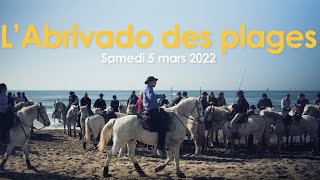 Abrivado des plages  Best of 2022 [upl. by Martell977]