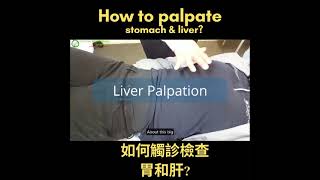 How to palpate the organs Liver amp Stomach [upl. by Gnuoy]