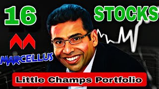 Saurabh Mukherjea Little Champs Stocks PortfolioMarcellus Little Champs Stocks Portfolio 16 Stocks [upl. by Giesecke77]