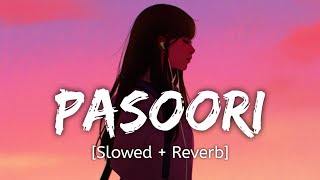 Pasoori Slowed  Reverb Punjabi lofi song  Wormono lofi song [upl. by Falcone]