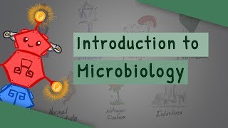 Introduction To Microbiology [upl. by Negaem]