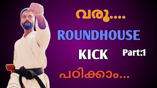 Roundhouse Kick Mawashi geriTutorial For Beginnersതുടക്കക്കാർക് Roundhouse കിക്ക് പഠിക്കാം [upl. by Tavie]