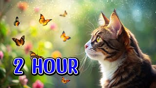 😺CAT GAMES l Cats vsButterfly 2 Hour of Engaging Screen FunVideos for Cats to Watch [upl. by Eskil377]