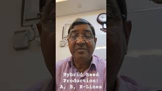 Male Sterility Hybrid Seed Production Using 3Line system A B RLines [upl. by Menzies]