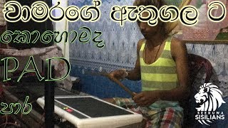 Athugala Wehera  Amazing octapad cover  Super Octapad Player  Congo amp Dolki patch [upl. by Kaye99]