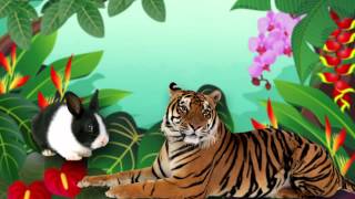 Audiocuento El tigre y el conejo Cuento infantil [upl. by Astri]