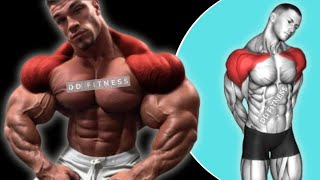 Quick Shoulder Workout For Wider Shoulder [upl. by Letney]