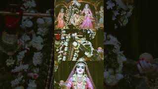 Comment main radhe radhe liko shorts trending youtubeshort [upl. by Enitsenre227]