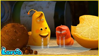 LARVA  DELICIOUS BAIT  CARTOON MOVIE FOR LIFE THE BEST OF CARTOON  HILARIOUS CARTOON COMPILATION [upl. by Violet]