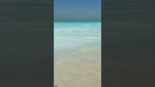 Saadiyat Beach Abu Dhabi  A Paradise of White Sands and Turquoise Waters [upl. by Stoeber678]