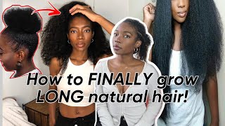 How to reach your HEALTHY Natural Hair goals  My Realistic STEP by STEP 2023 Growth Plan [upl. by Eimam829]