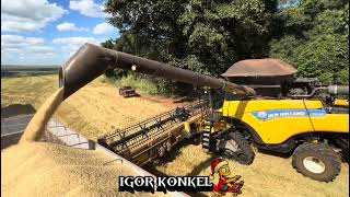 IGOR KONKEL EDIÇÕES NO CAMPO GRANDE AGRICULTURA 🌾 🌍 [upl. by Balac]