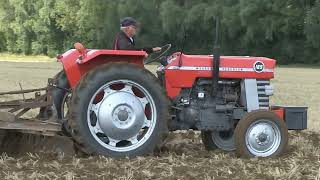 MASSEY FERGUSON 165 AND 135 TRACTORS CULTIVATING [upl. by Hastings]