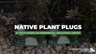 Native Plant Plugs At Four Rivers Environmental Education Center [upl. by Akinorev]