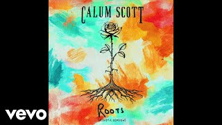 Calum Scott  Roots Acoustic Version  Audio [upl. by Alrzc473]