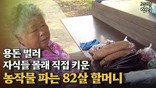 로드다큐 만남 44회④ 용돈 벌러 자식들 몰래 직접 키운 농작물 파는 82살 할머니 [upl. by Dagny]