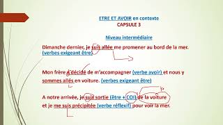 54 GRAMMAR IN CONTEXT CAPSULE 3  ETRE ou AVOIR [upl. by Levine]