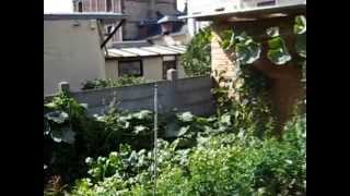 Mon jardin potager urbain permaculture aout 2014 [upl. by Delphina641]