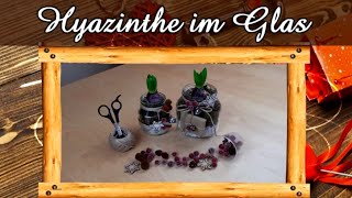 Hyazinthe im Glas  Frühlingsdeko  Geschenkidee  DIY [upl. by Nnylodnewg]