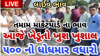 kapas na bhav  01112024  કપાસના ભાવ2024  Information about cotton crop price  Commodity Trend [upl. by Anitsim690]