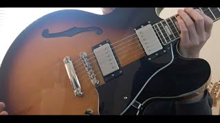 Epiphone ES 335 Pro  Dimarzio Bluesbuckers FLIPPED [upl. by Anileba]