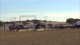 David Key amp Jhett Hillman Team Roping Practice amp Jackpot Runs [upl. by Coster]