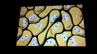 Cbeebies Crowd Ident [upl. by Latty]