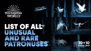 All Patronuses on Wizarding World Pottermore  Unusual amp Rare List  Hogwarts Legacy [upl. by Kal833]