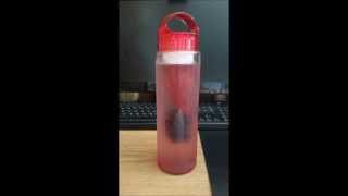 Brimma Infuser Water Bottle Review brimma [upl. by Tihom]